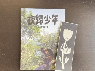 夜歸少年3
